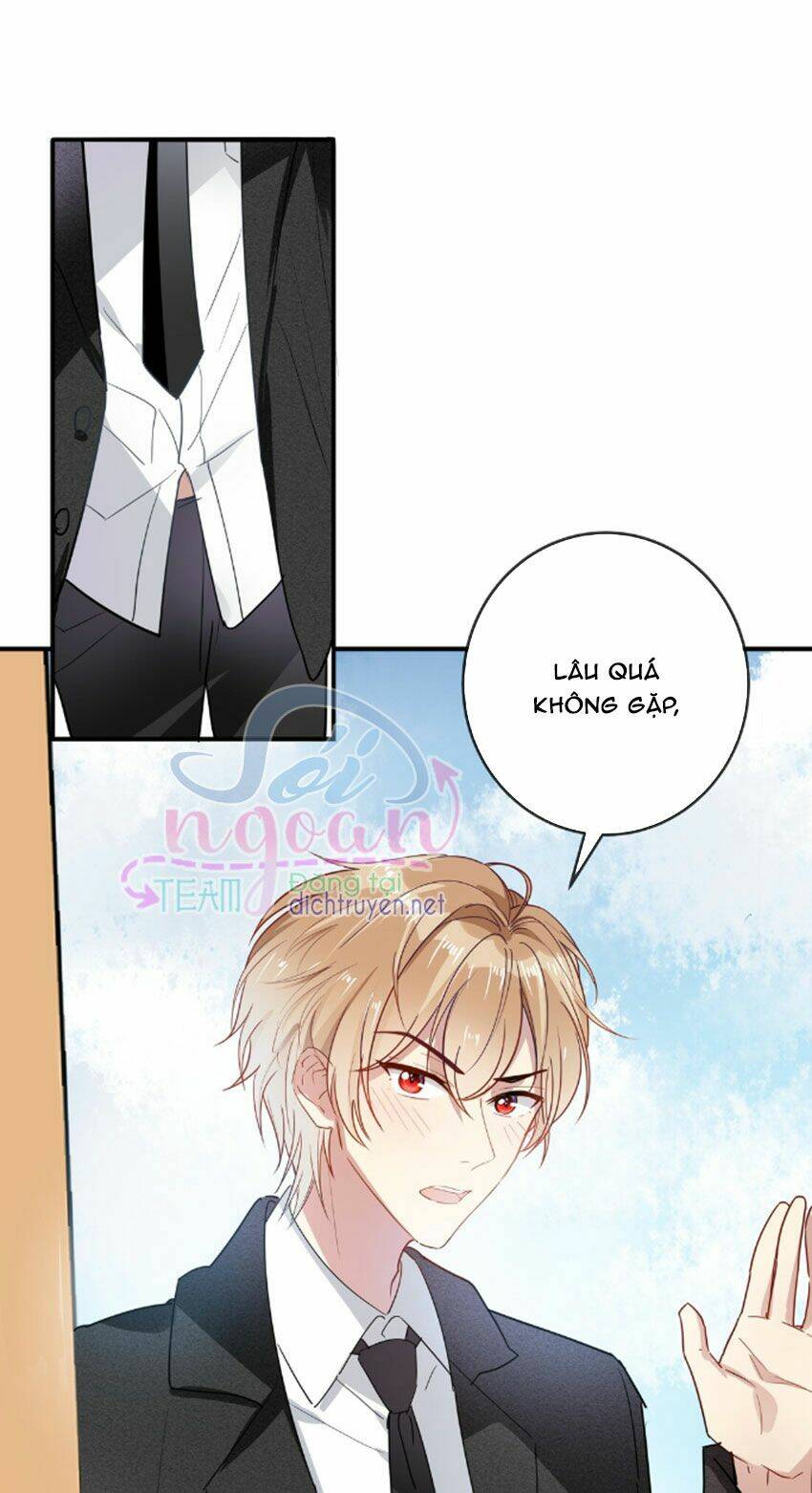 Em Là Bạc Hà Mèo Của Tôi Chapter 33 - Trang 2