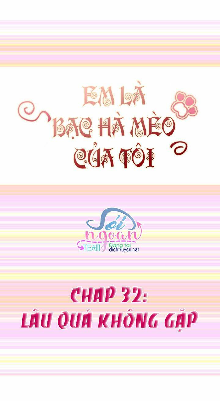 Em Là Bạc Hà Mèo Của Tôi Chapter 32 - Trang 2