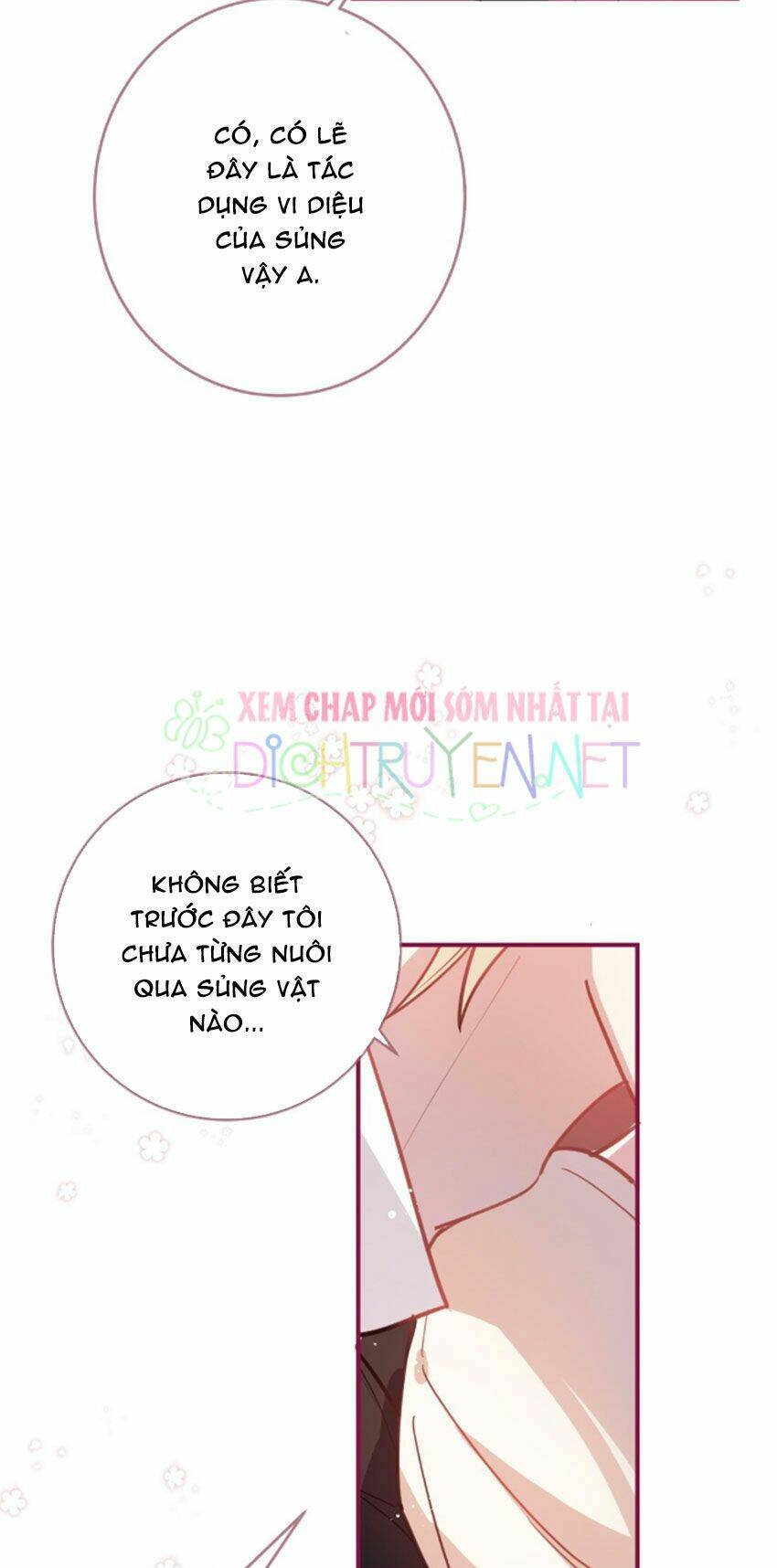 Em Là Bạc Hà Mèo Của Tôi Chapter 26 - Trang 2