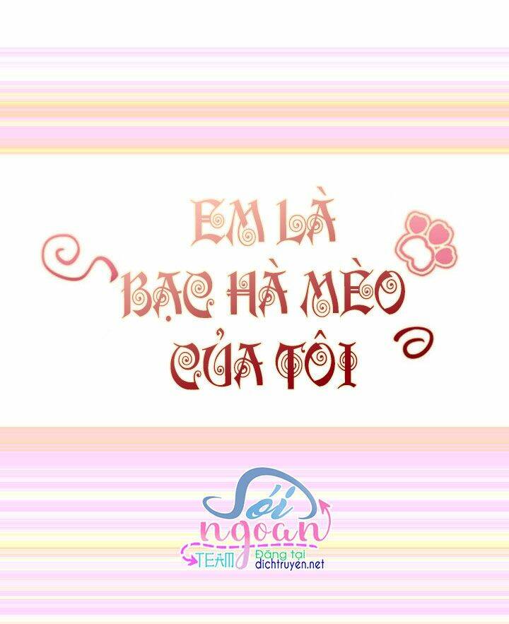 Em Là Bạc Hà Mèo Của Tôi Chapter 25 - Trang 2