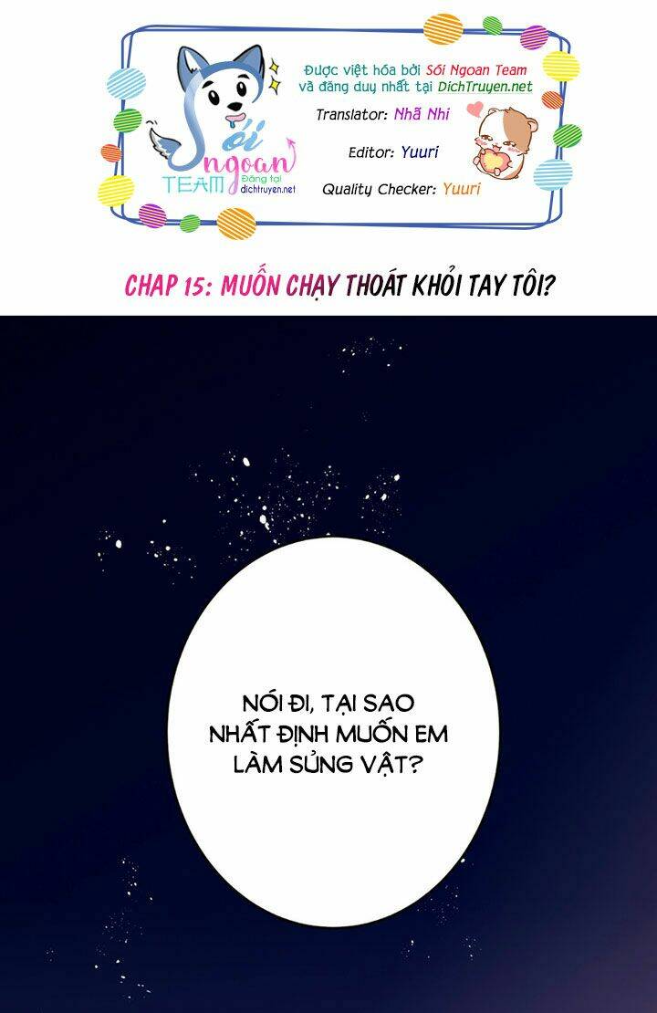 Em Là Bạc Hà Mèo Của Tôi Chapter 15 - Trang 2