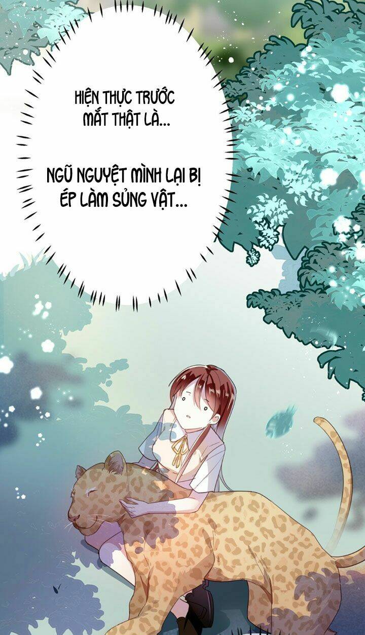 Em Là Bạc Hà Mèo Của Tôi Chapter 15 - Trang 2