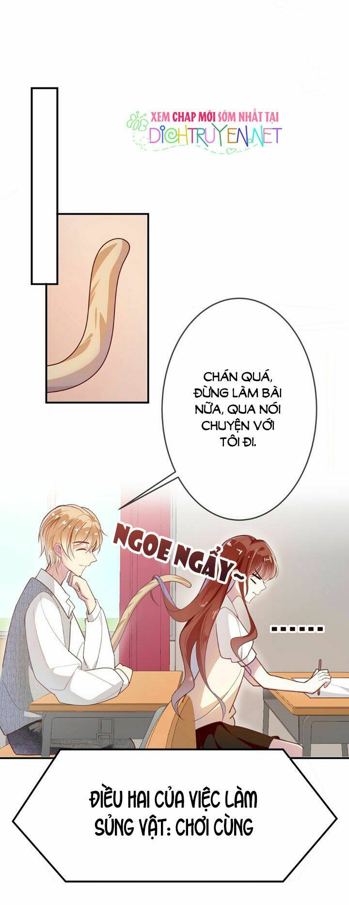 Em Là Bạc Hà Mèo Của Tôi Chapter 10 - Trang 2