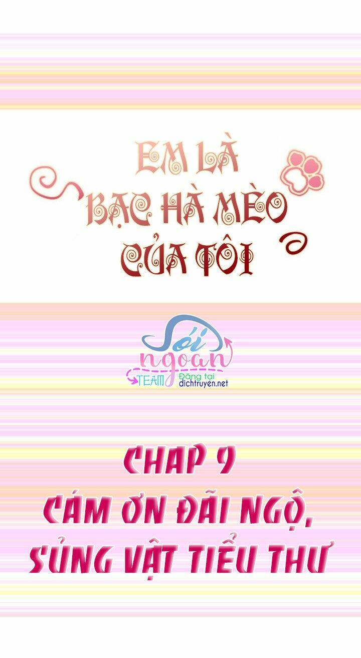 Em Là Bạc Hà Mèo Của Tôi Chapter 9 - Trang 2