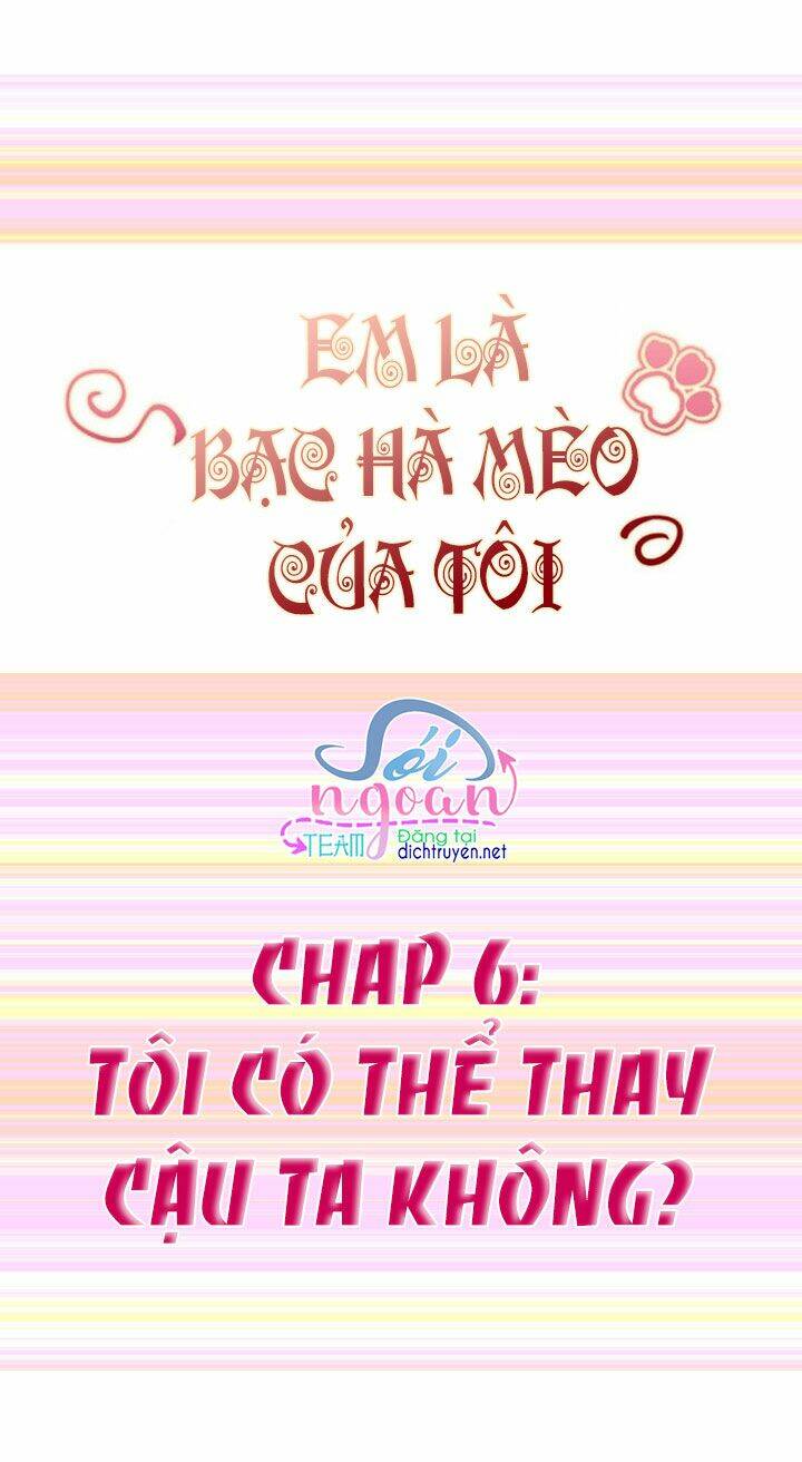 Em Là Bạc Hà Mèo Của Tôi Chapter 6 - Trang 2