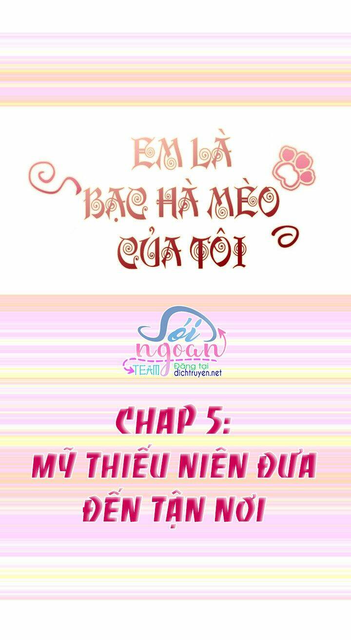 Em Là Bạc Hà Mèo Của Tôi Chapter 5 - Trang 2