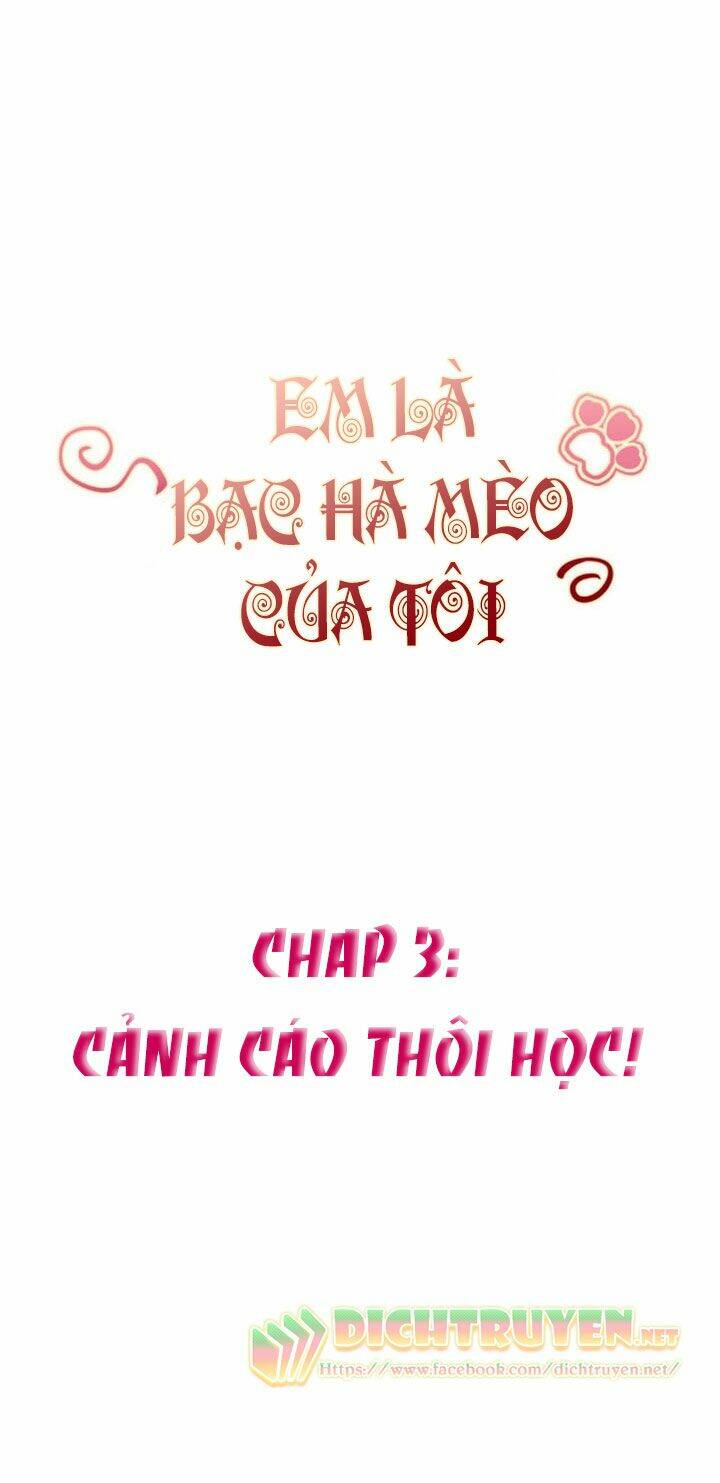 Em Là Bạc Hà Mèo Của Tôi Chapter 3 - Trang 2