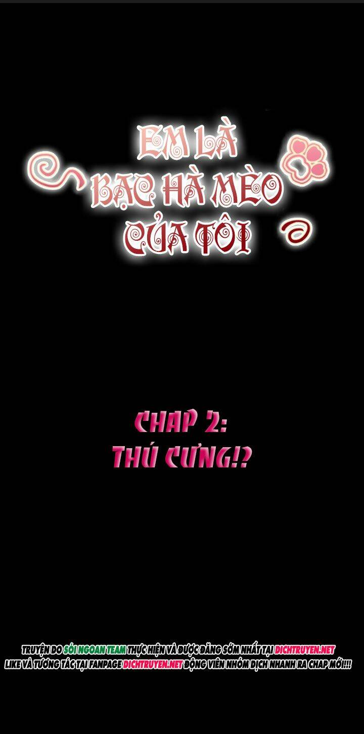 Em Là Bạc Hà Mèo Của Tôi Chapter 2 - Trang 2