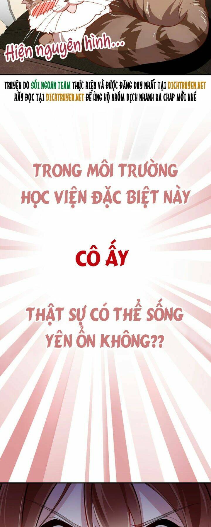 Em Là Bạc Hà Mèo Của Tôi Chapter 0 - Trang 2