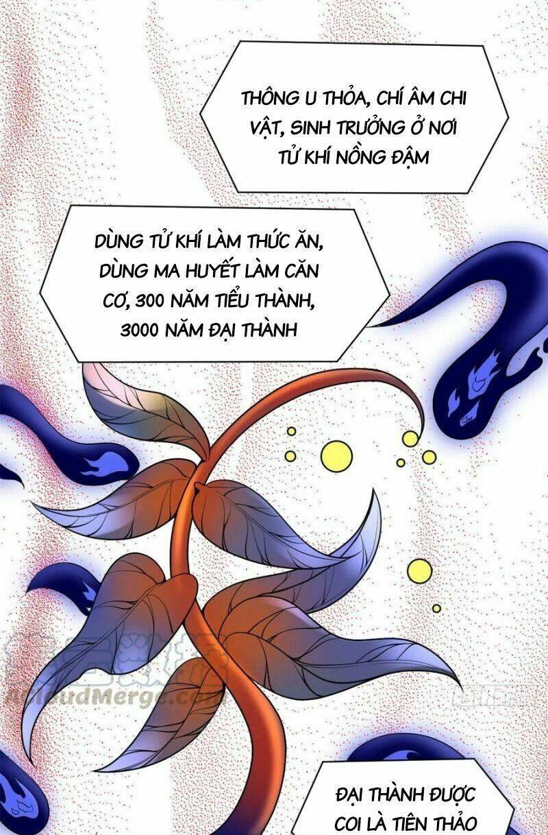 Ta Tu Có Lẽ Là Giả Tiên Chapter 177 - Trang 2