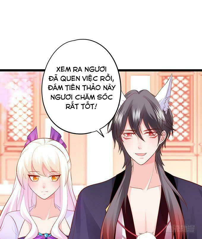 Hồ Tiên Hung Bạo Chapter 137 - Trang 2