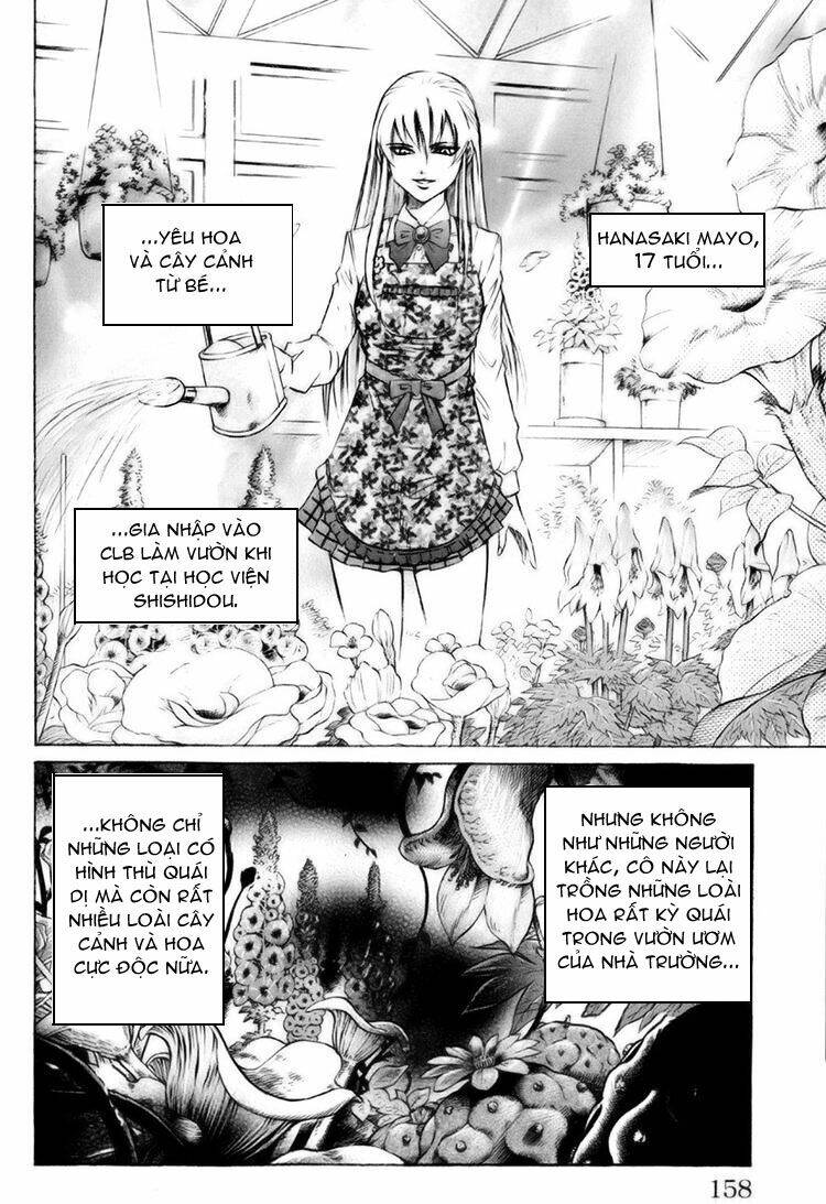 Gamble Fish Chapter 41 - Trang 2