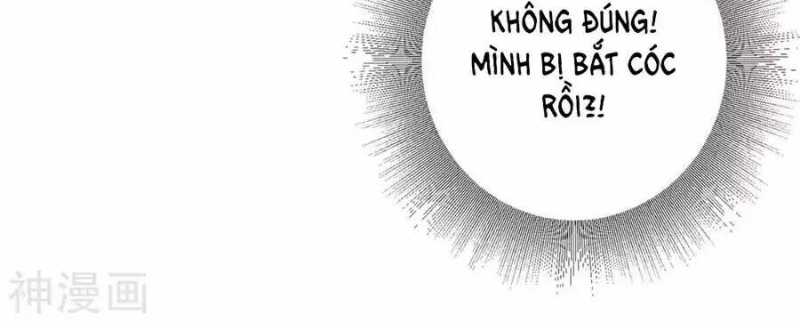 Thiên Tài Khốc Bảo: Tổng Tài Sủng Thê Quá Cường Hãn Chapter 41 - Trang 2