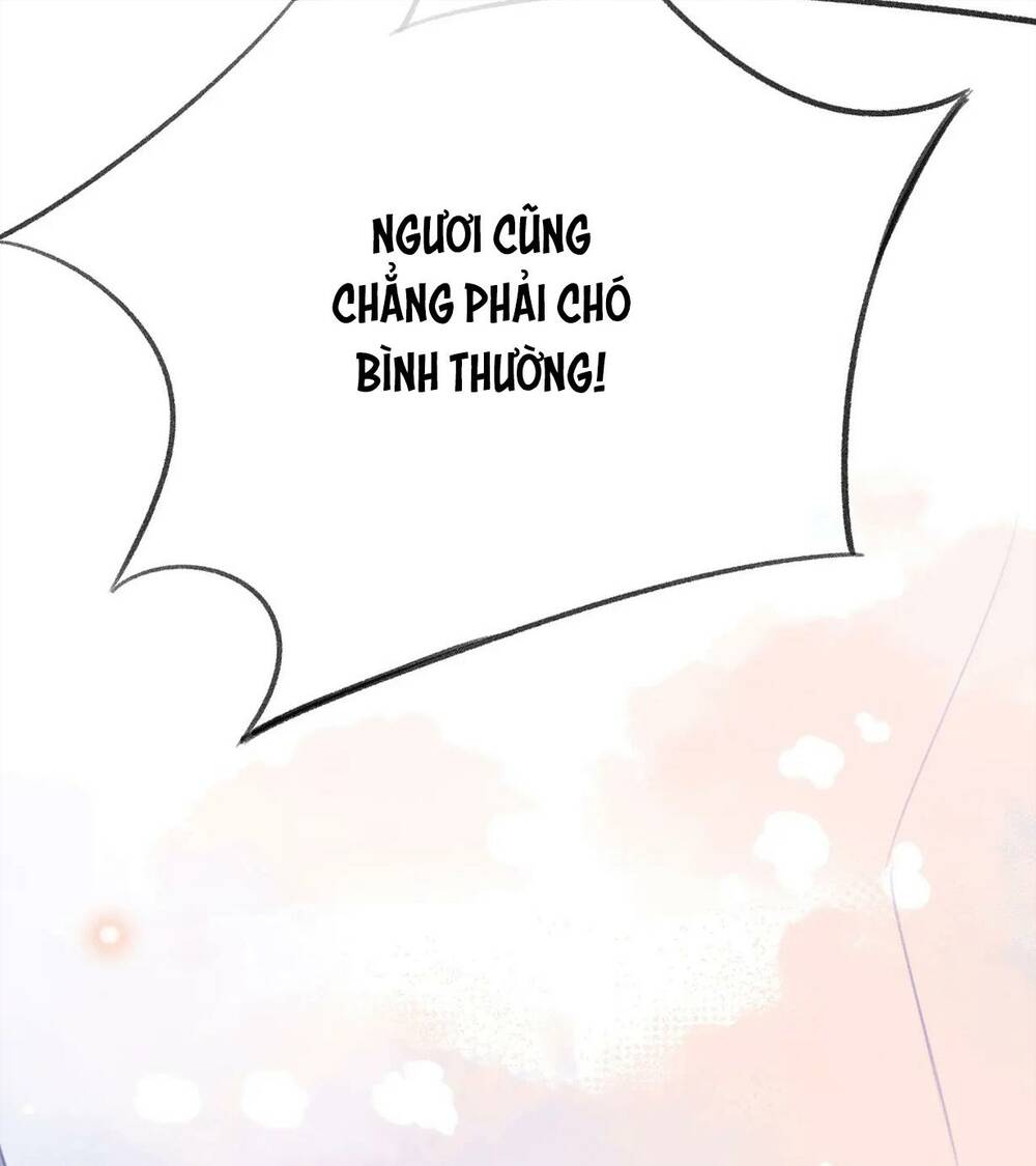 Vi Phu Từng Là Long Ngạo Thiên Chapter 32 - Trang 2