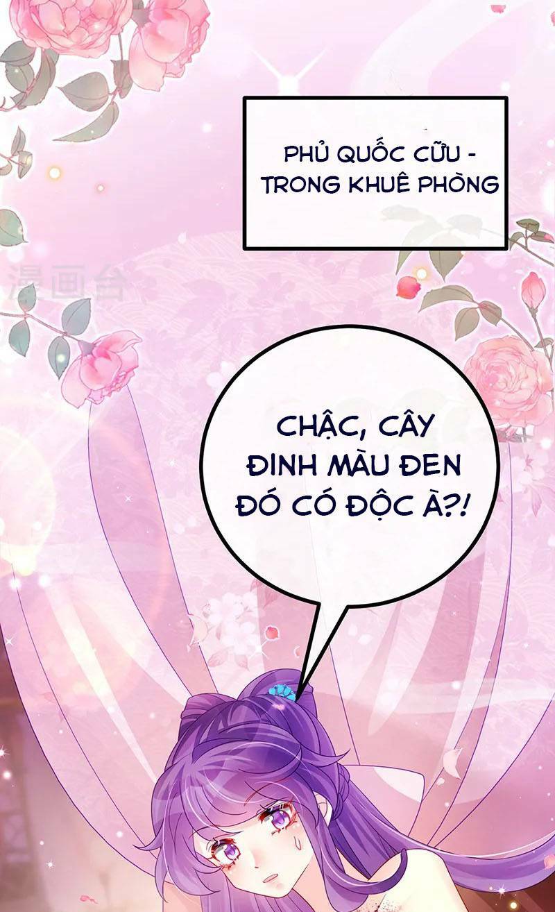 Phế Sài Tiểu Thư Muốn Nghịch Thiên Cải Mệnh Chapter 112 - Trang 2