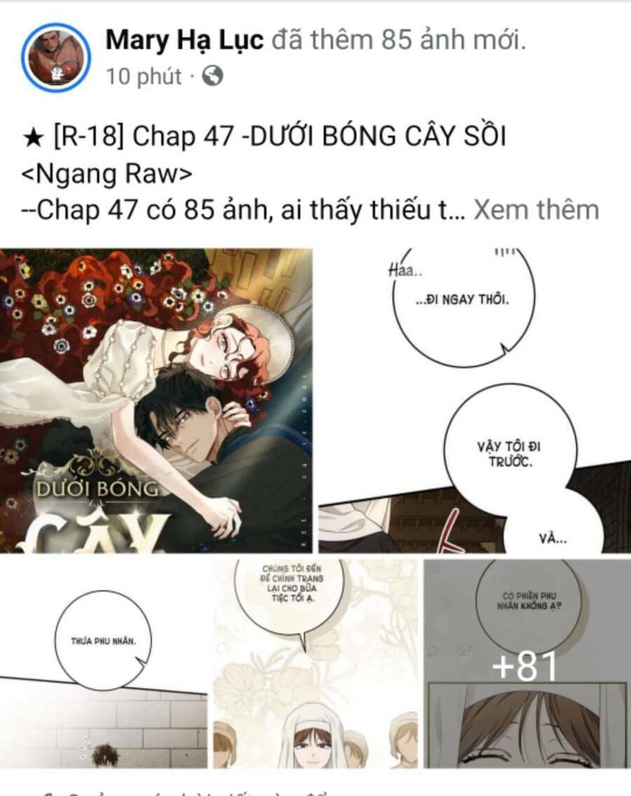 Dưới Tán Cây Sồi Chapter 47.2 - Trang 2