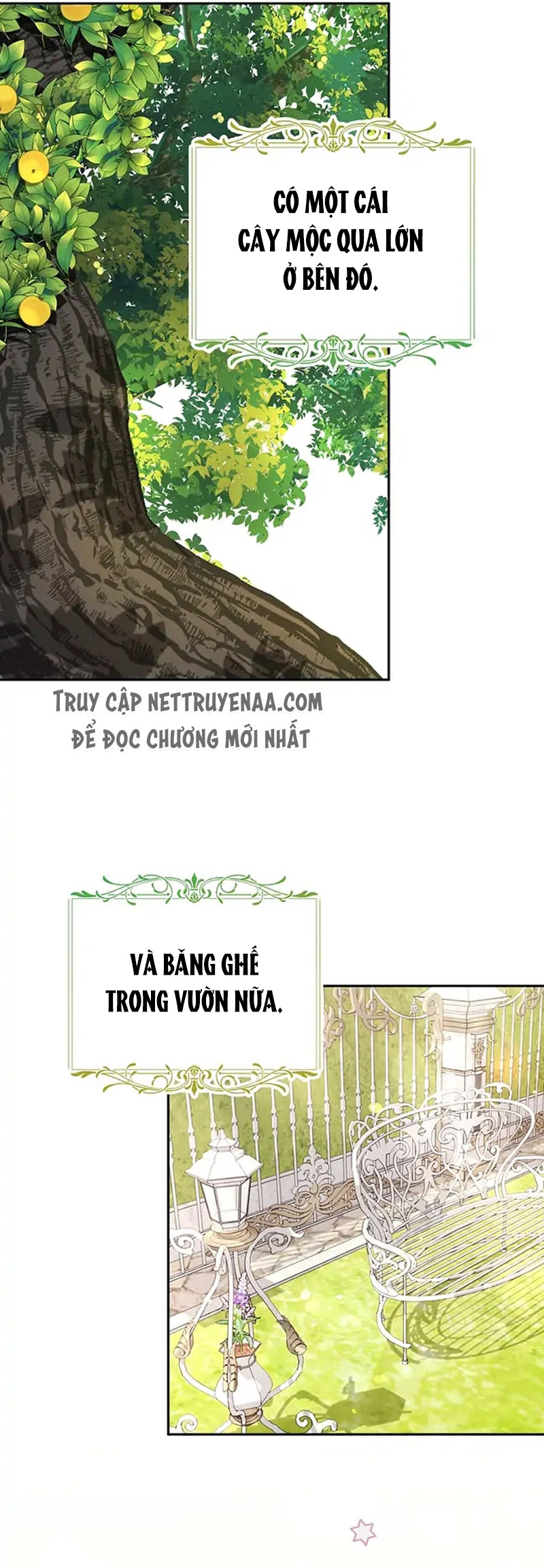 Cây Cúc Tây Thân Yêu Của Tôi Chapter 45 - Trang 2