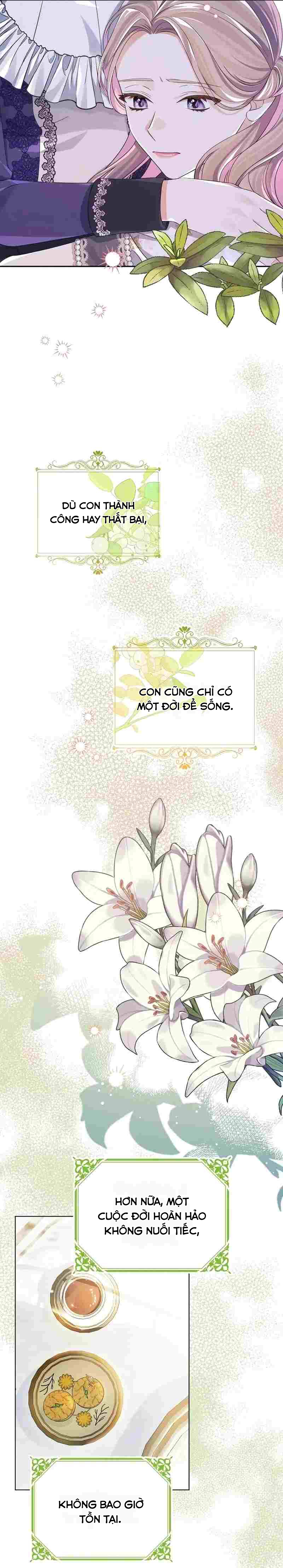 Cây Cúc Tây Thân Yêu Của Tôi Chapter 31 - Trang 2