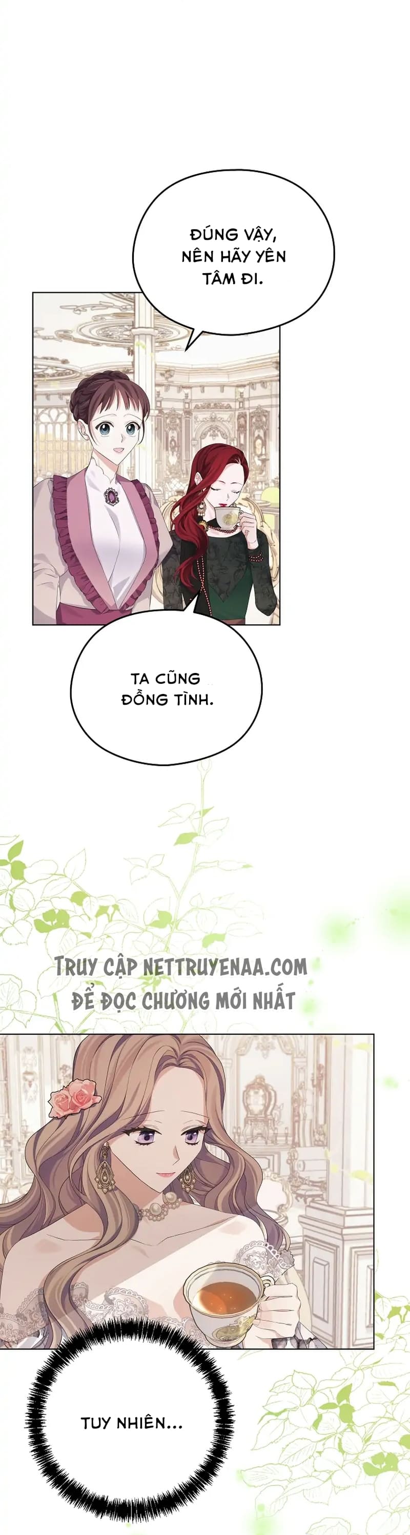 Cây Cúc Tây Thân Yêu Của Tôi Chapter 17 - Trang 2