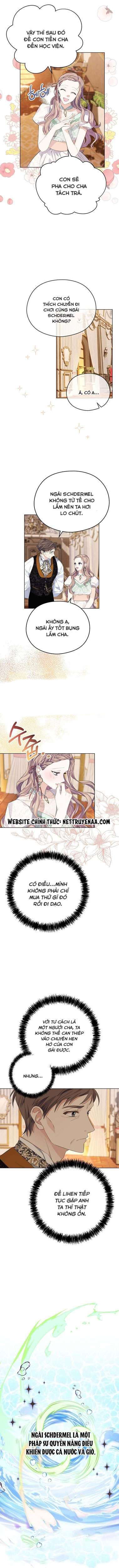 Cây Cúc Tây Thân Yêu Của Tôi Chapter 11 - Trang 2