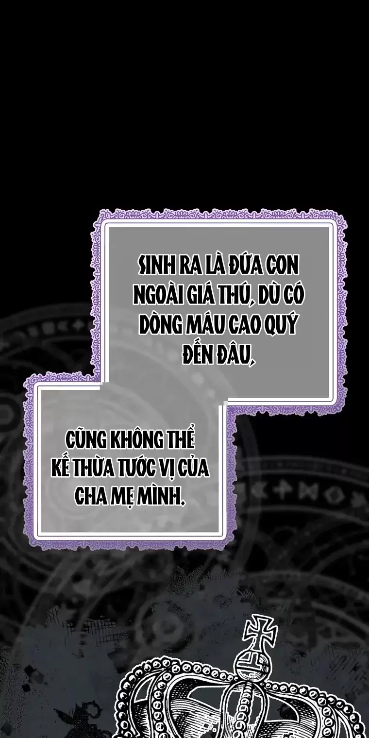 Cây Cúc Tây Thân Yêu Của Tôi Chapter 4 - Trang 2