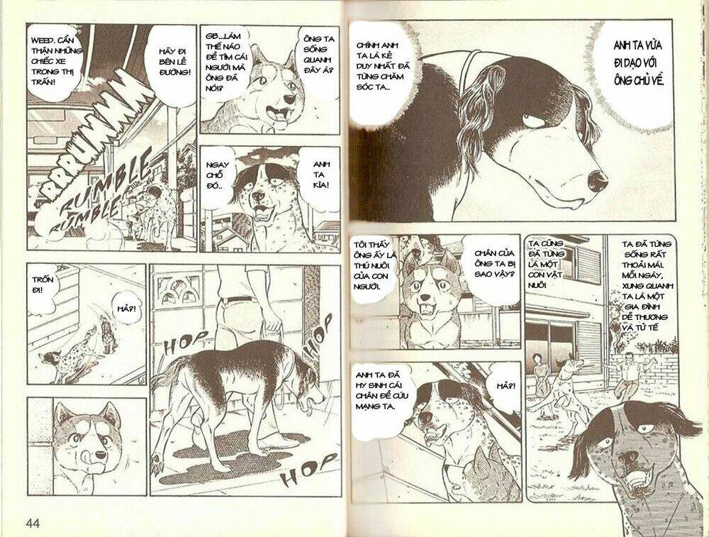 Ginga Densetsu Weed (Legend) Chapter 1 - Trang 2