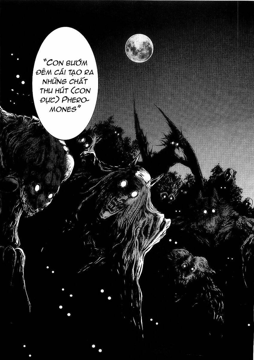 Blood+ Chapter 14 - Trang 2