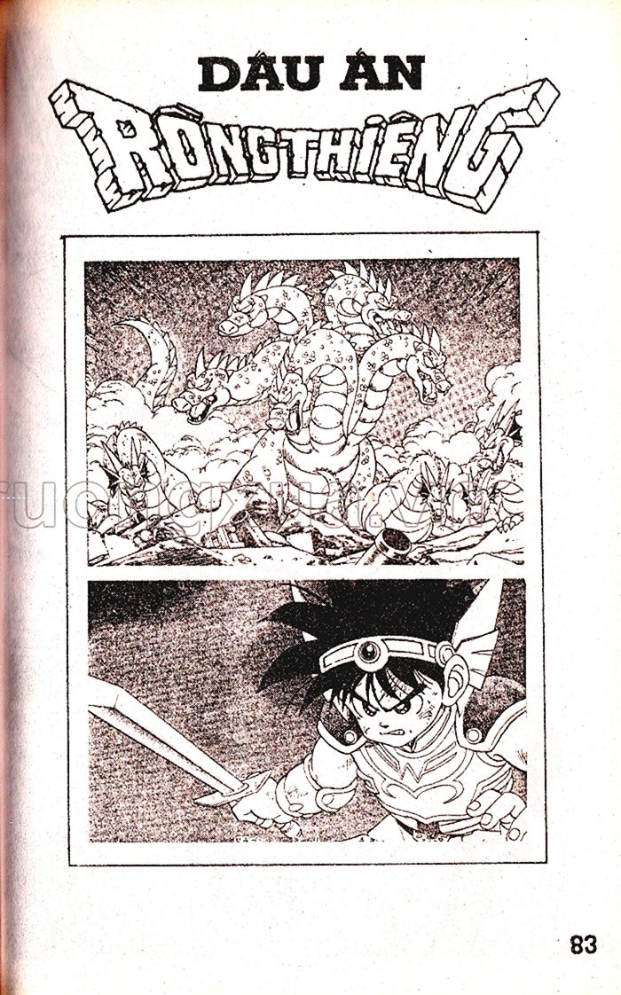 Dragon Quest 1 Chapter 14 - Trang 2