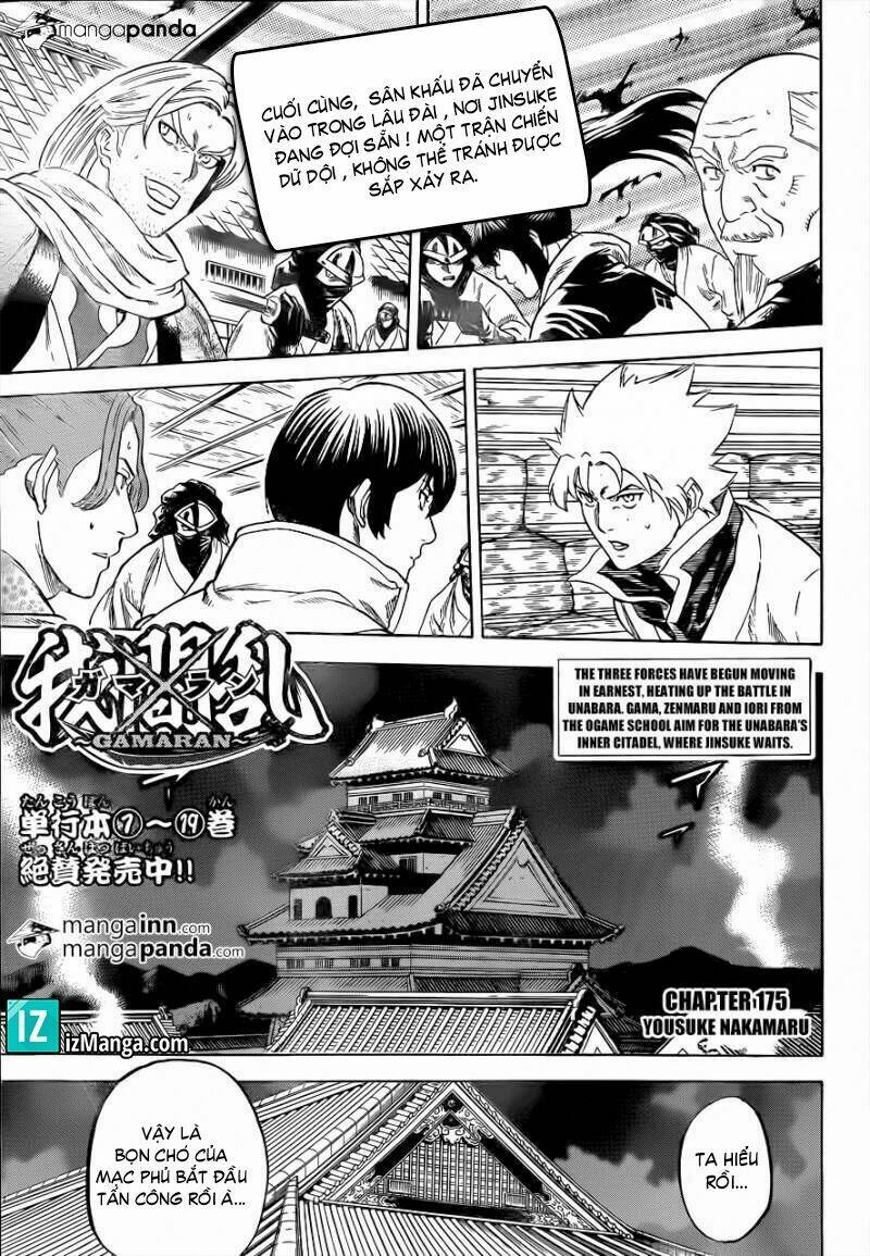 Gamaran Chapter 168 - Trang 2