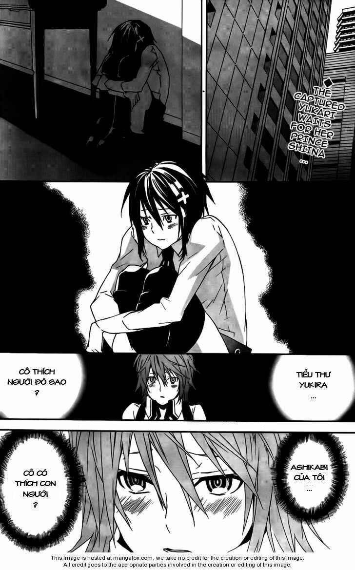 Sekirei Chapter 102 - Trang 2