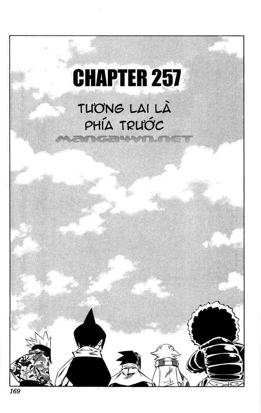 Vua Pháp Thuật Chapter 257 - Trang 2