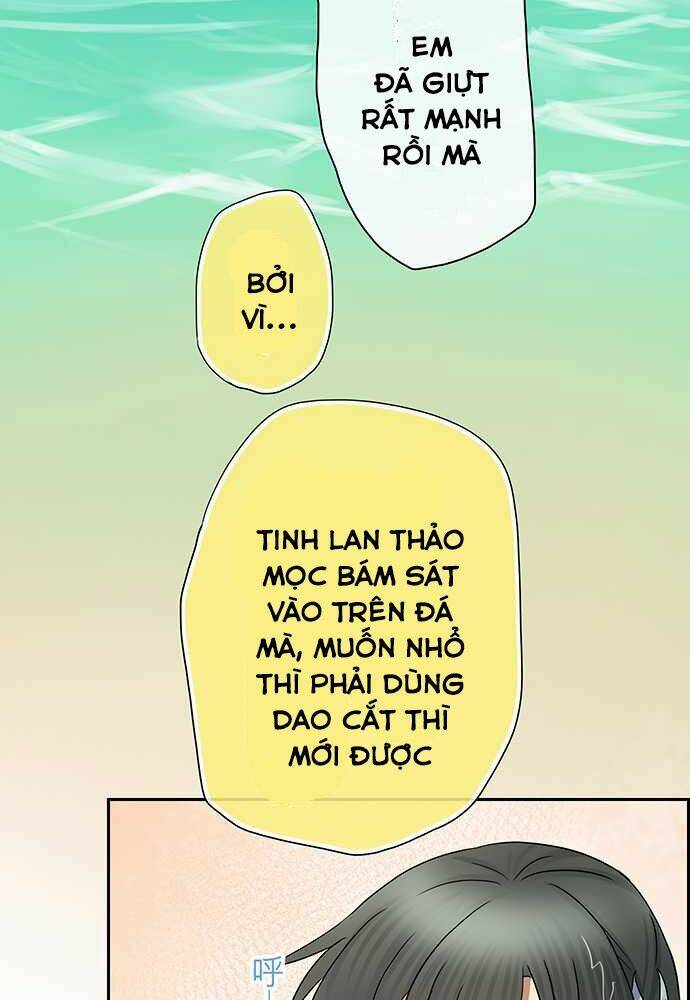 Nụ Hôn Nguyền Rủa Chapter 21 - Trang 2