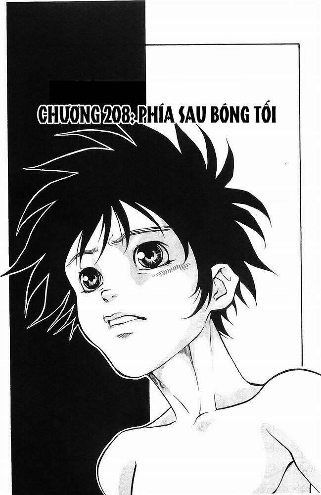 Vua Trên Biển Chapter 208 - Trang 2