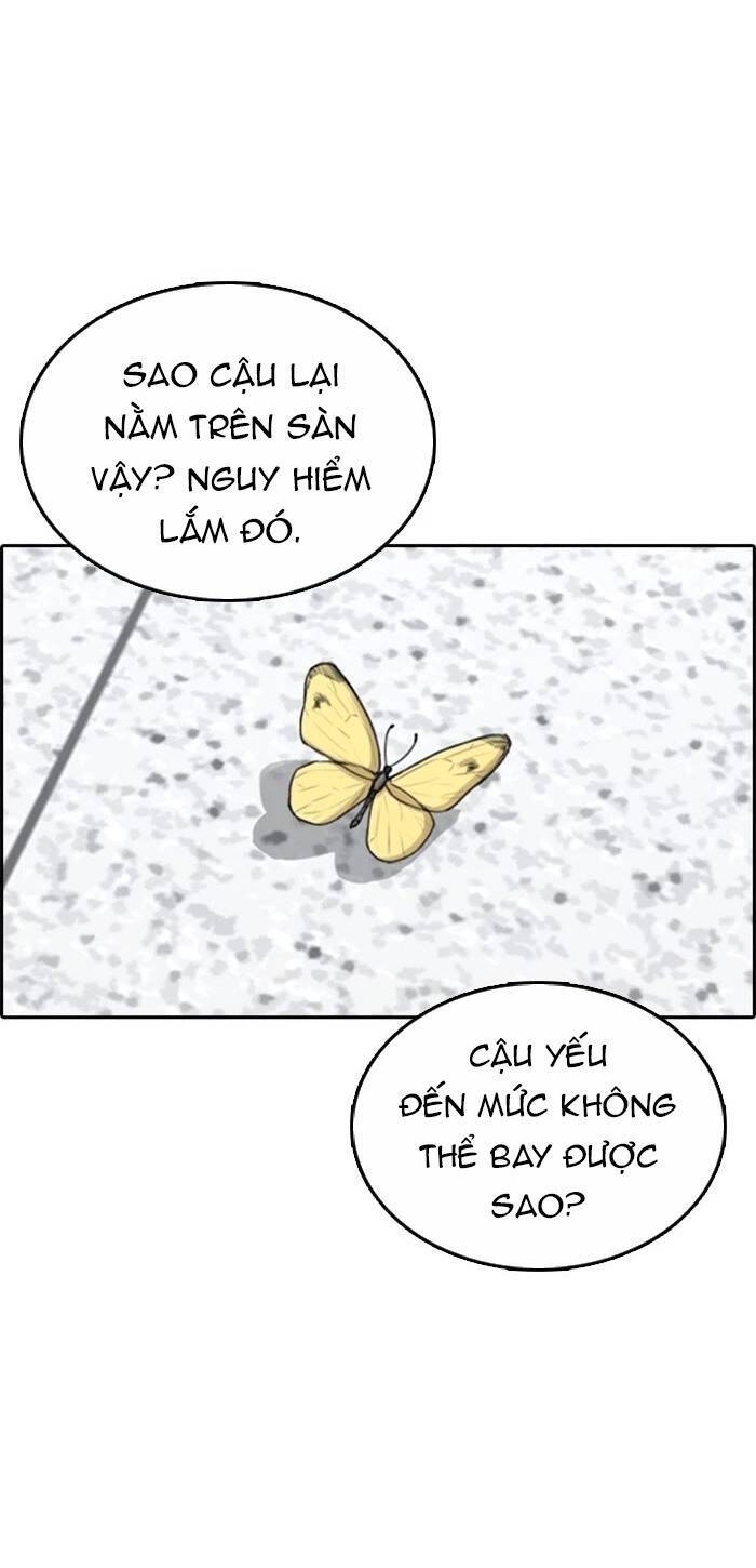 Những Mảnh Đời Tan Vỡ Chapter 42 - Trang 2