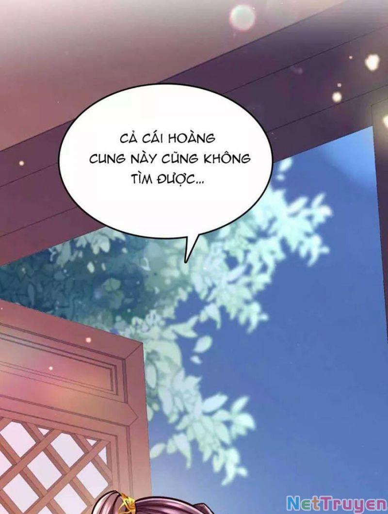 Ta Ở Hậu Cung Làm Lão Đại Chapter 103 - Trang 2