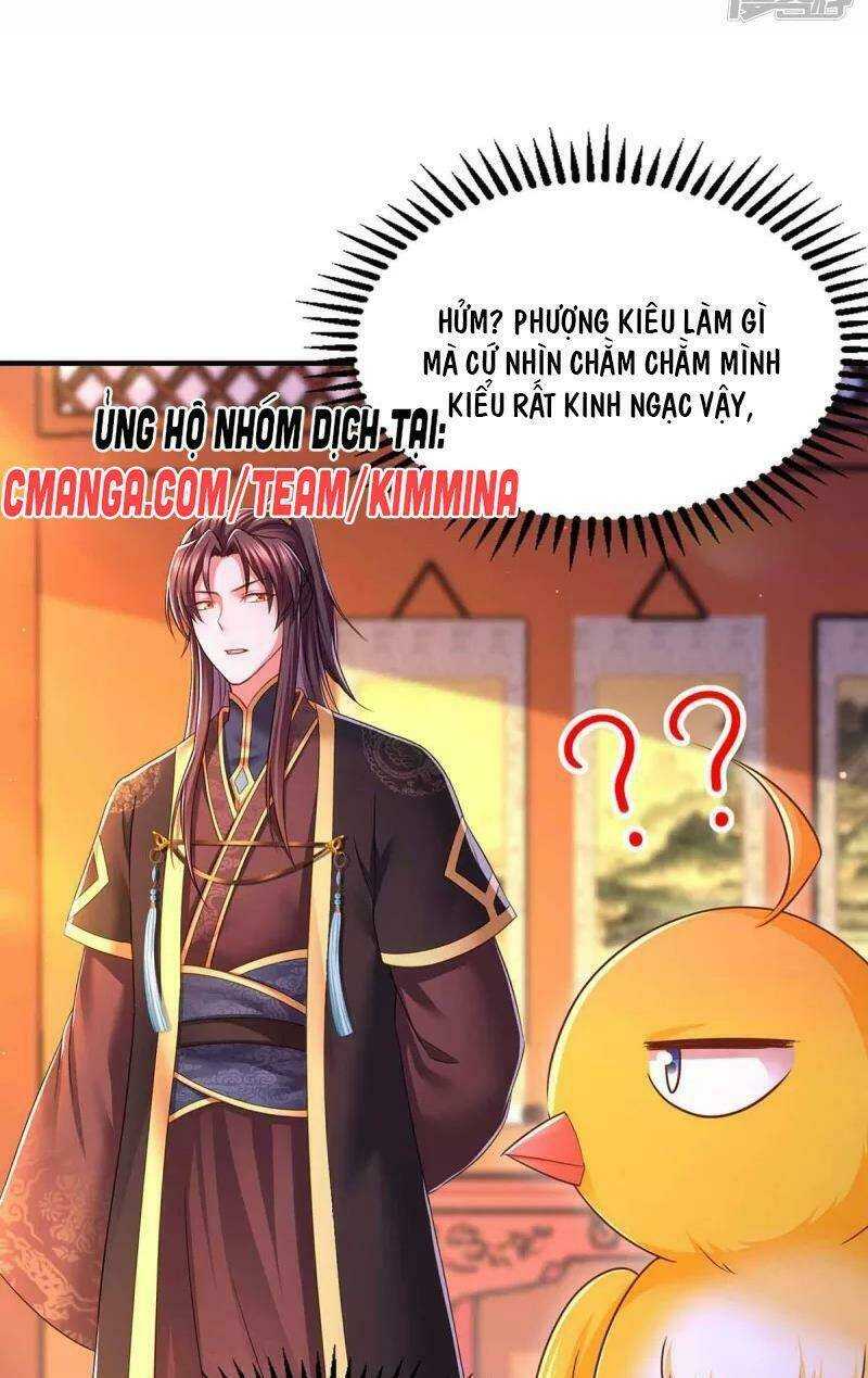 Ta Ở Hậu Cung Làm Lão Đại Chapter 98 - Trang 2