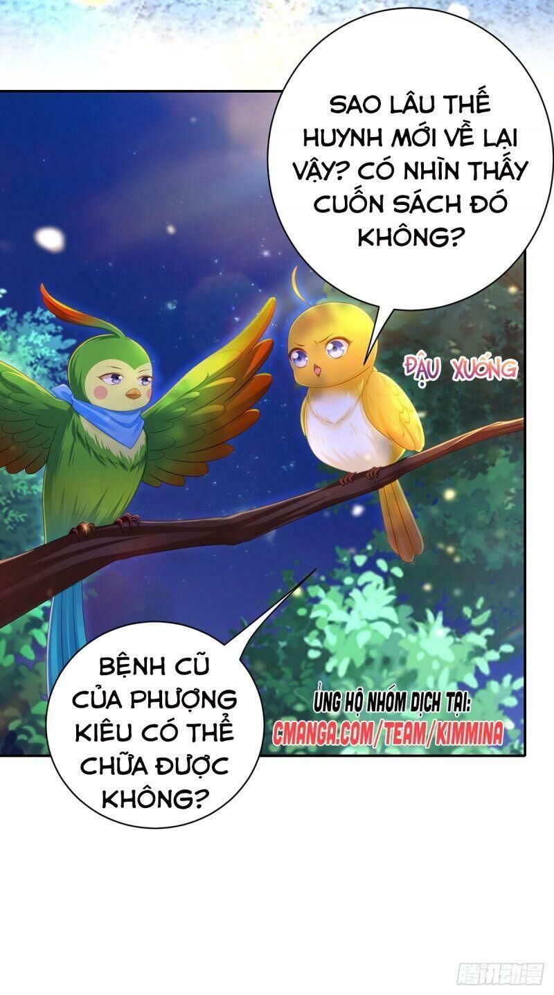 Ta Ở Hậu Cung Làm Lão Đại Chapter 37 - Trang 2