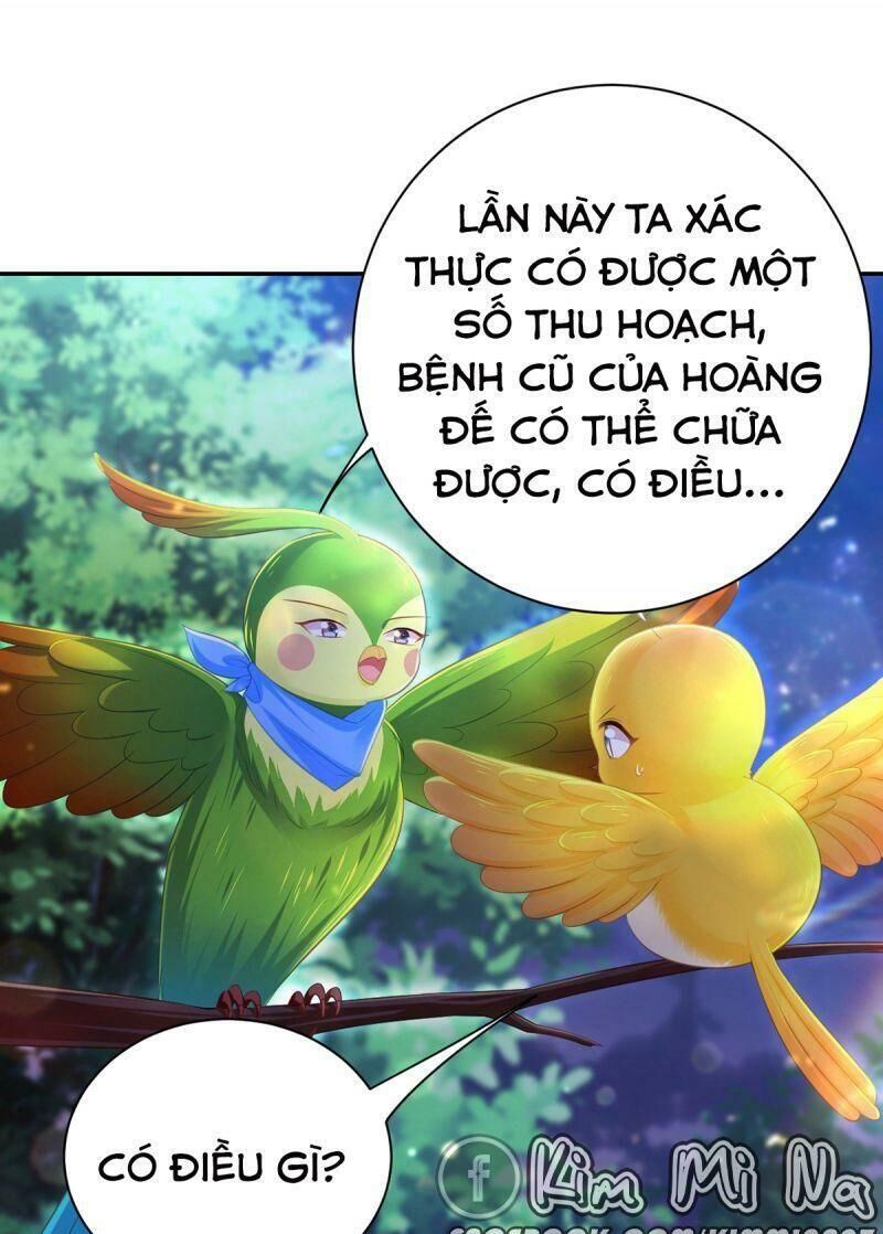 Ta Ở Hậu Cung Làm Lão Đại Chapter 37 - Trang 2