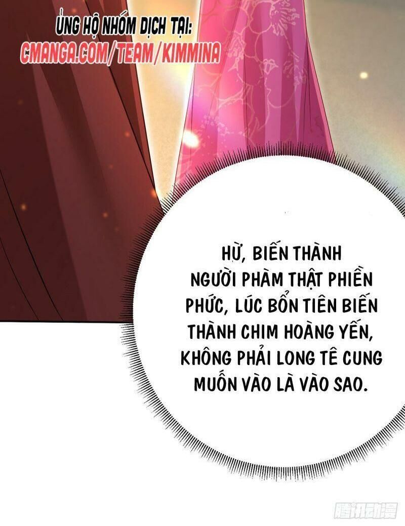 Ta Ở Hậu Cung Làm Lão Đại Chapter 37 - Trang 2