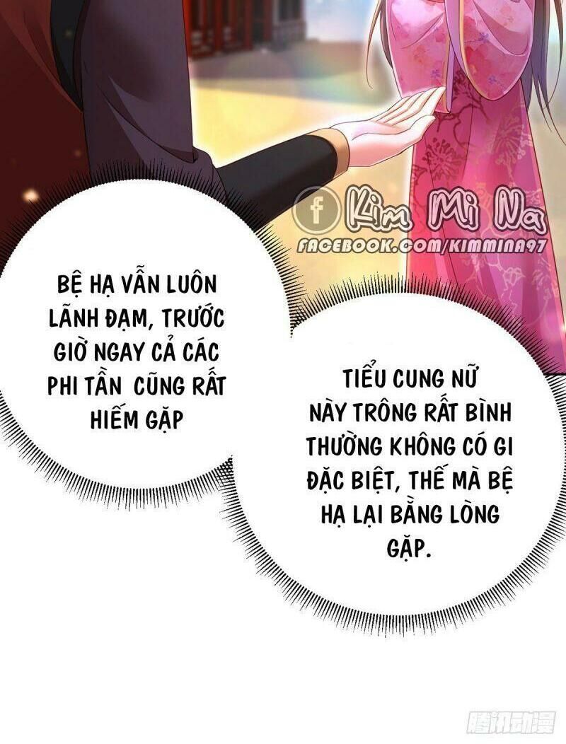 Ta Ở Hậu Cung Làm Lão Đại Chapter 37 - Trang 2