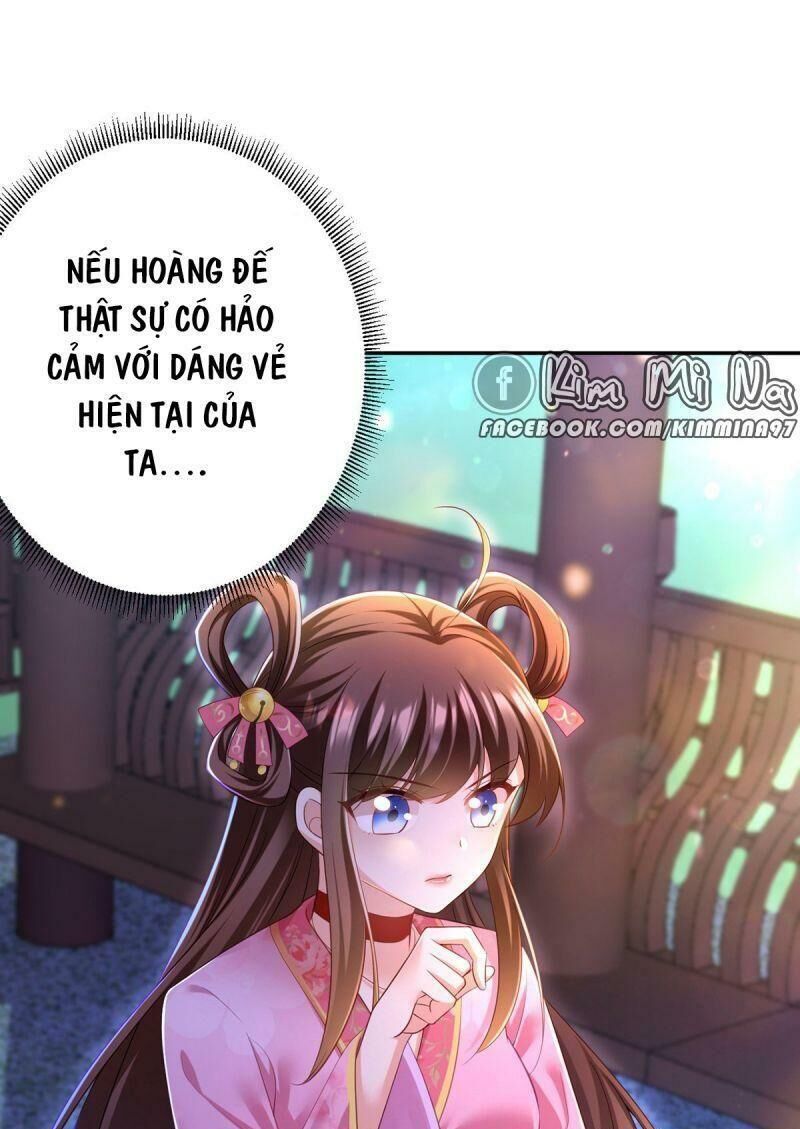 Ta Ở Hậu Cung Làm Lão Đại Chapter 37 - Trang 2