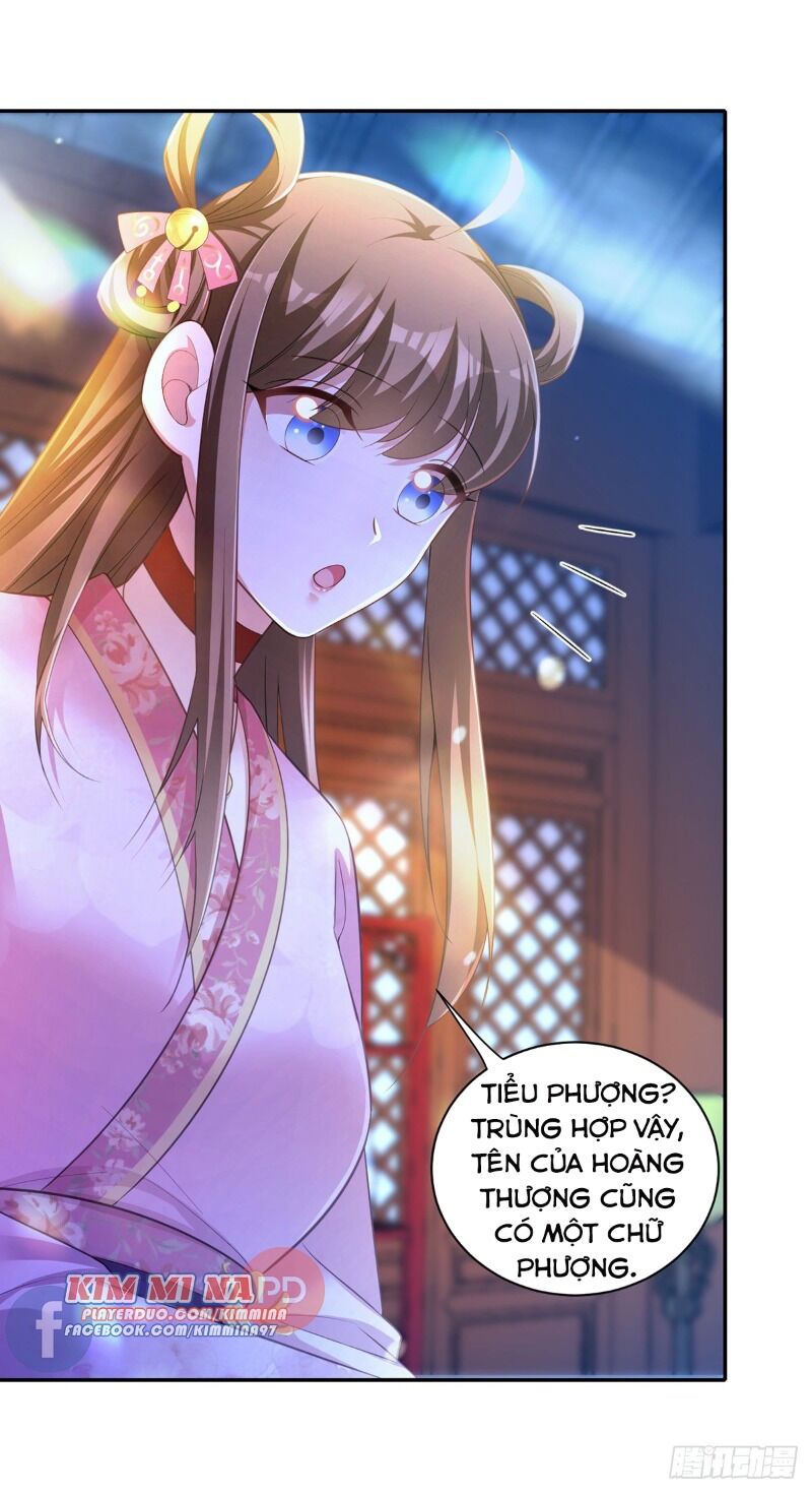 Ta Ở Hậu Cung Làm Lão Đại Chapter 27 - Trang 2