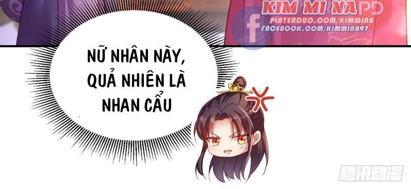 Ta Ở Hậu Cung Làm Lão Đại Chapter 23 - Trang 2