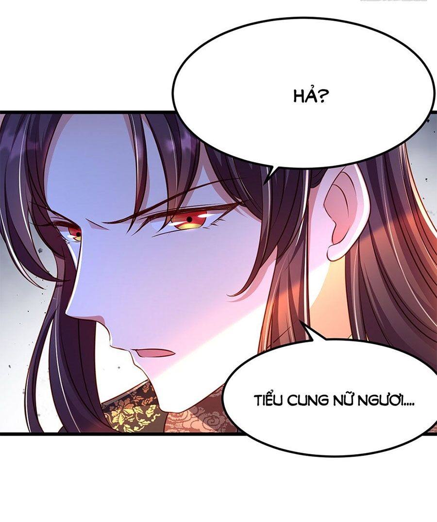 Ta Ở Hậu Cung Làm Lão Đại Chapter 13 - Trang 2