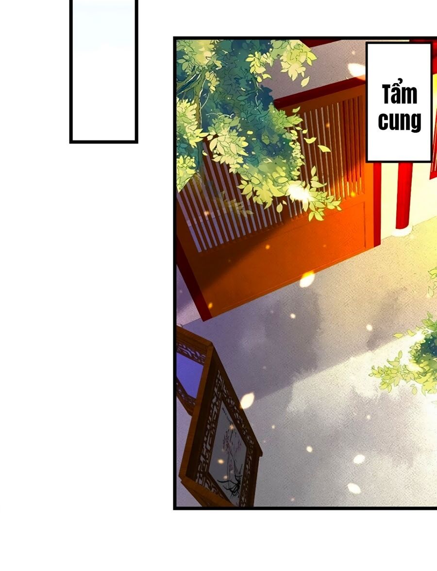 Ta Ở Hậu Cung Làm Lão Đại Chapter 3 - Trang 2