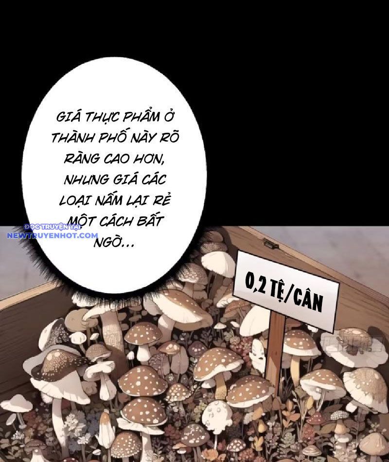 Người Chơi Đệ Nhất Chapter 6 - Trang 2