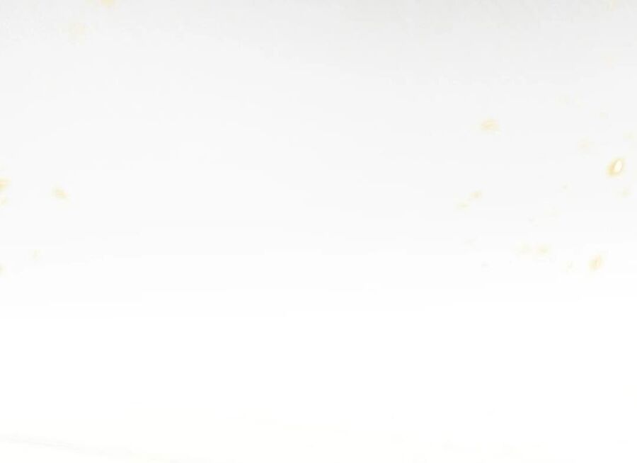 Trường Mẫu Giáo Thần Thú Chapter 1 - Trang 2