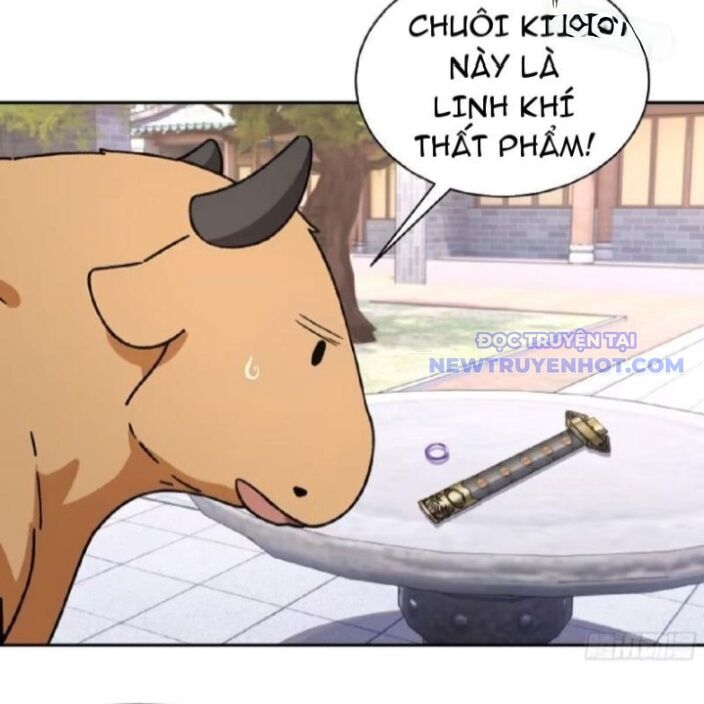 Bách Thê Phổ: Thánh Nữ Đều Gọi Ta Là Phu Quân Chapter 30 - Trang 2