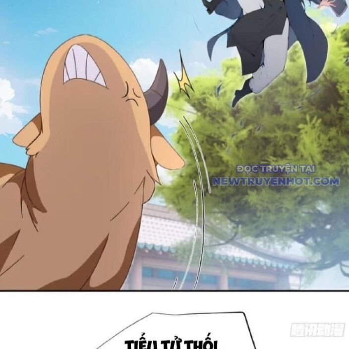 Bách Thê Phổ: Thánh Nữ Đều Gọi Ta Là Phu Quân Chapter 30 - Trang 2