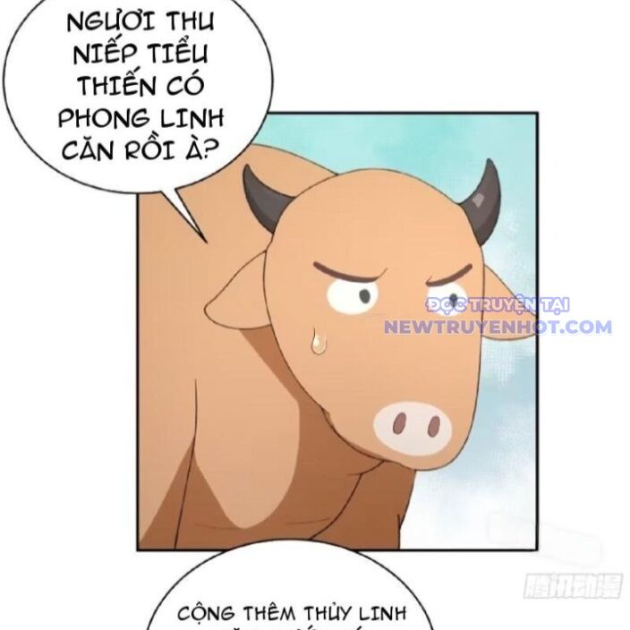 Bách Thê Phổ: Thánh Nữ Đều Gọi Ta Là Phu Quân Chapter 30 - Trang 2